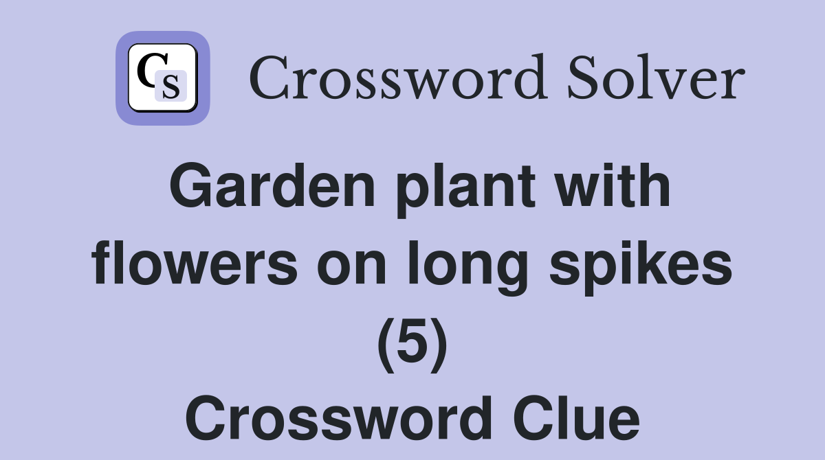 Garden plant with flowers on long spikes (5) Crossword Clue Answers